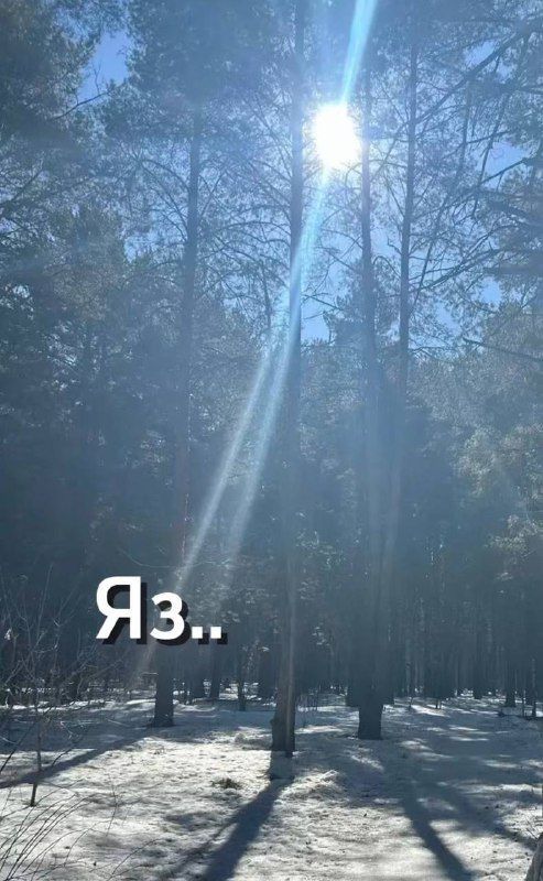 Мартның беренче атнасы  җылы көн белән башланды