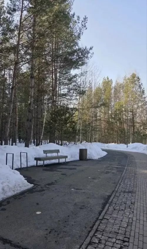 Чаллыда атна кояшлы көннән башлана