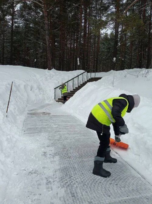 Карлы яңгыр ява