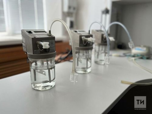 Кәнфит ашау правасыз калдырырга мөмкин