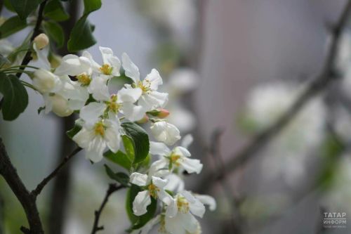 8 майда эш көне кыскара