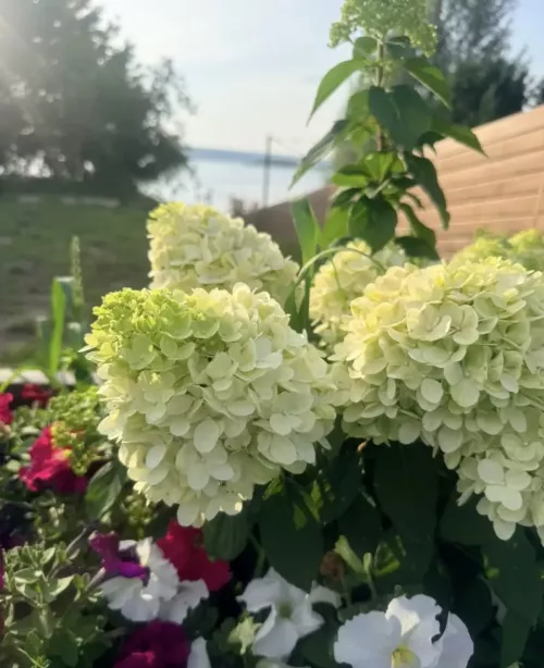 Бүген Чаллыда 32 градуска кадәр җылы була