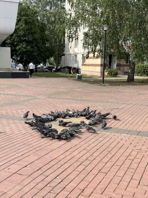 Көннәр әкрен генә сүрелә, яңгырлар килә