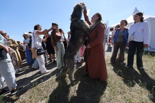 Татарстанда  йорт хайваннарын тоту кагыйдәләрен катгыйландыралар