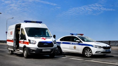 Бастрыкин хатын-кызны бәрдергән 17 яшьлек егет катнашындагы авария белән кызыксынды