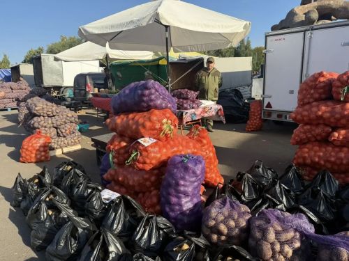 Чаллыда чираттагы көзге авыл хуҗалыгы ярминкәләре узды