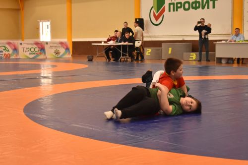 Көрәш ярышлары (2011-2018 елгылар)