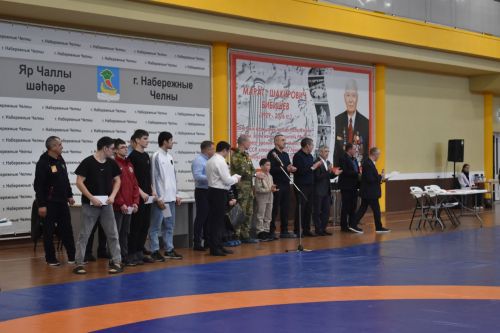 Көрәш ярышлары (2011-2018 елгылар)