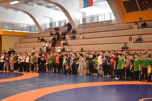 Көрәш ярышлары (2011-2018 елгылар)