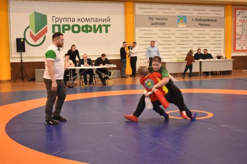Көрәш ярышлары (2011-2018 елгылар)