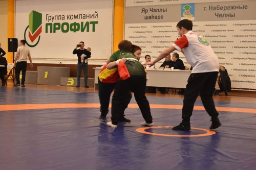 Көрәш ярышлары (2011-2018 елгылар)