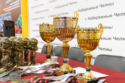 Чаллыда узган көрәш буенча Татарстан беренчелеге - фотолар