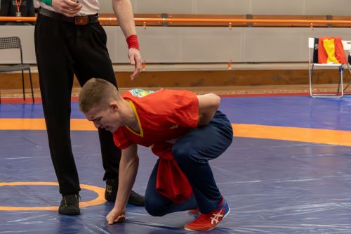Чаллыда узган көрәш буенча Татарстан беренчелеге - фотолар