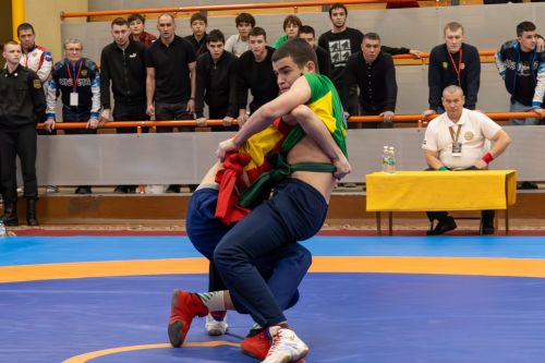 Чаллыда узган көрәш буенча Татарстан беренчелеге - фотолар