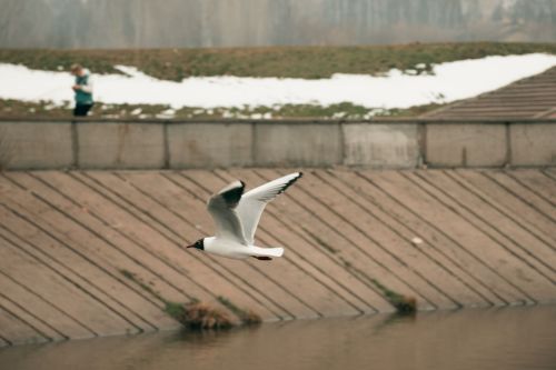 «Минем яраткан шәһәрем» бәйгесенә фотолар