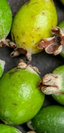 Фейхоа бик файдалы