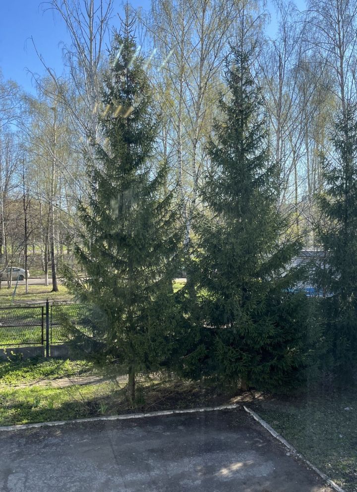 Салкын һәм җилле