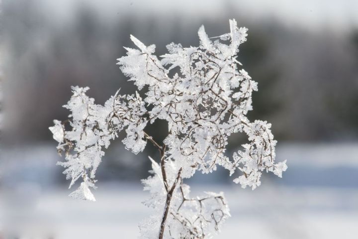 В Татарстане ожидают резкое похолодание до -12˚ с метелью и гололедицей