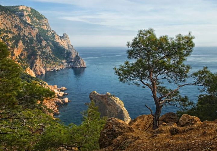 Украинские журналисты обсуждают челнинца с медалью за «аннексию» Крыма