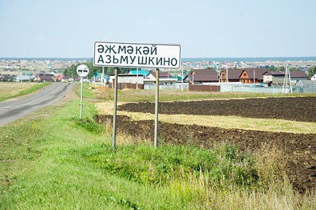 Тукаевский выставит на торги убежище и 103 тыс. кв.м земли под Челнами