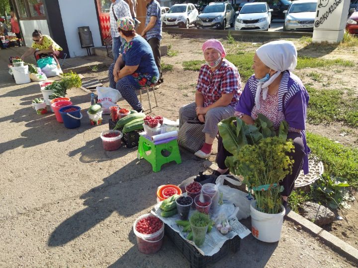 Бак­ча­чы­лар мэр­дан урын со­рый