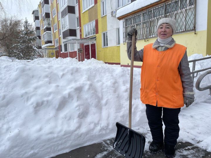 Фирдәвес Халиуллина: «Бухгалтер булырга теләсәм дә, 30 ел инде кар көрим»