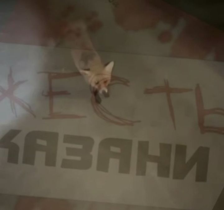 Татарстанның Мамадыш районында котыру чире буенча карантин кертелде