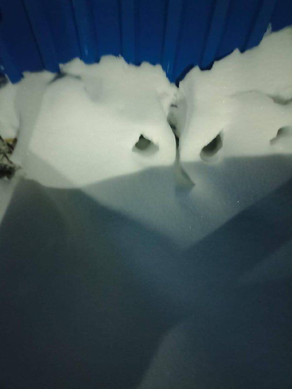 Бүген салкын