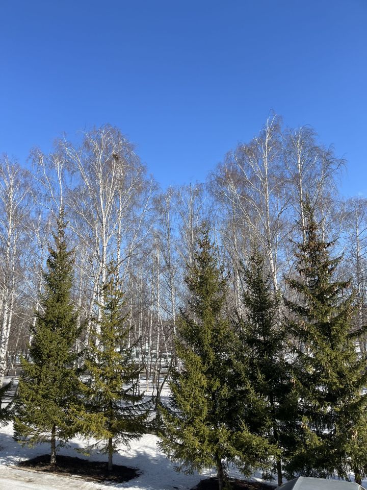 Бүген нинди һава торышы?