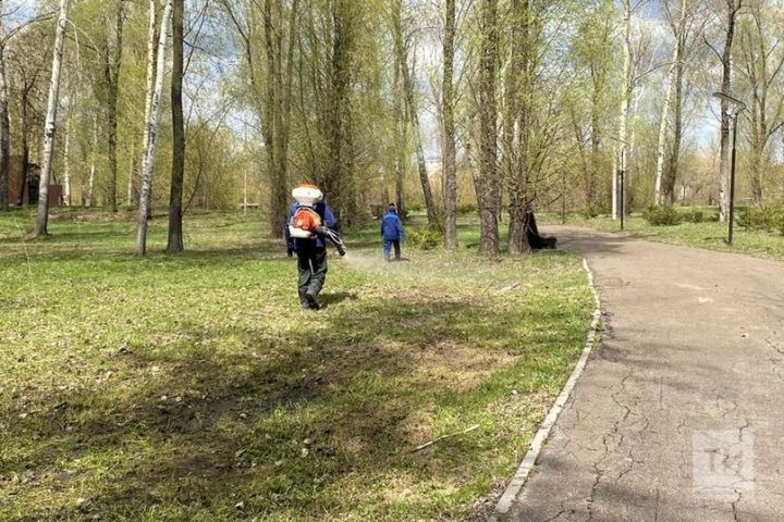 Чаллыда талпаннан зыян күрүчеләр саны 3,5 тапкырга арткан