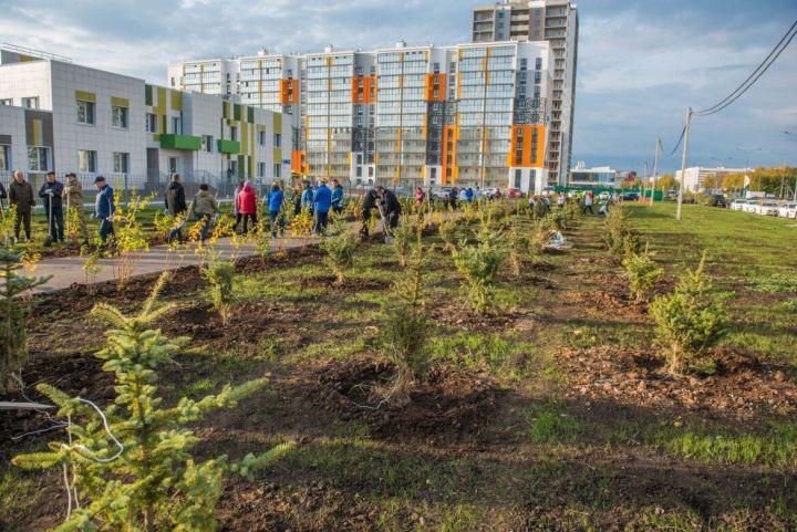 Чаллыда 5 ел эчендә 143 мең агач утыртылган