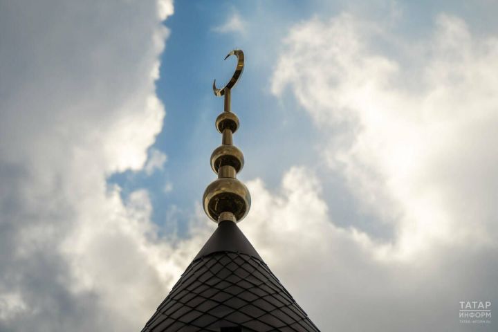 Атнакич догасы