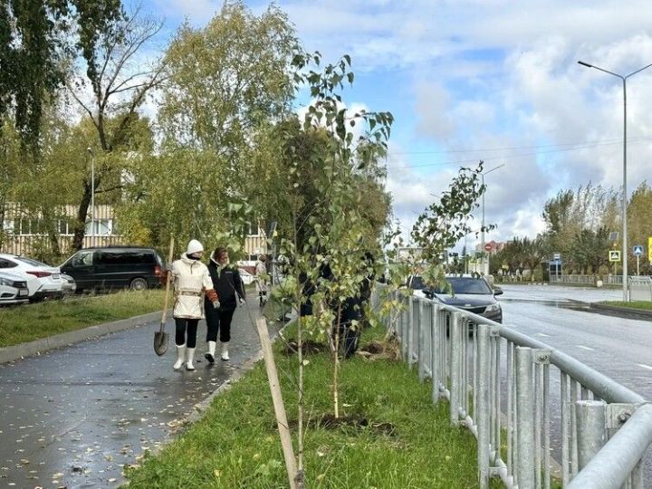 Чаллыда яңа аллея барлыкка килә
