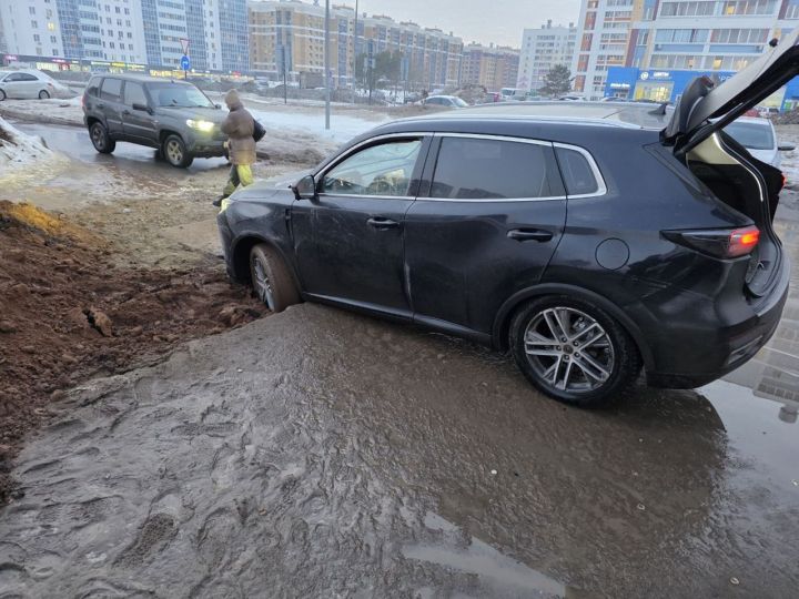 «Үзләрен генә утыртмасыннар иде»
