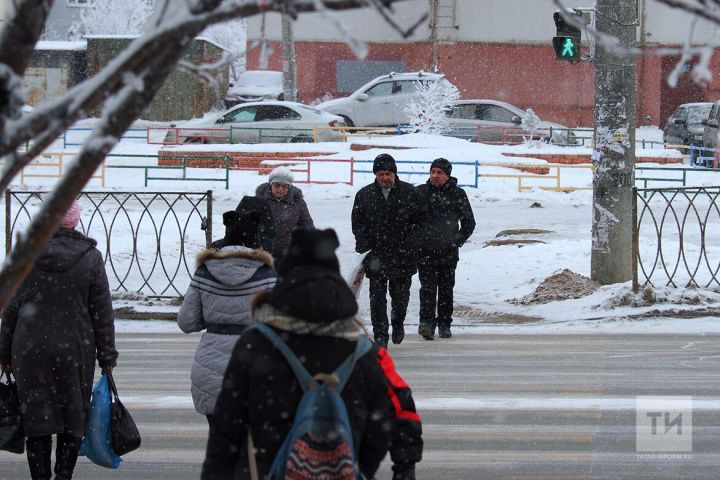 Чаллыда балалар катнашында 4 юл-транспорт һәлакәте булды