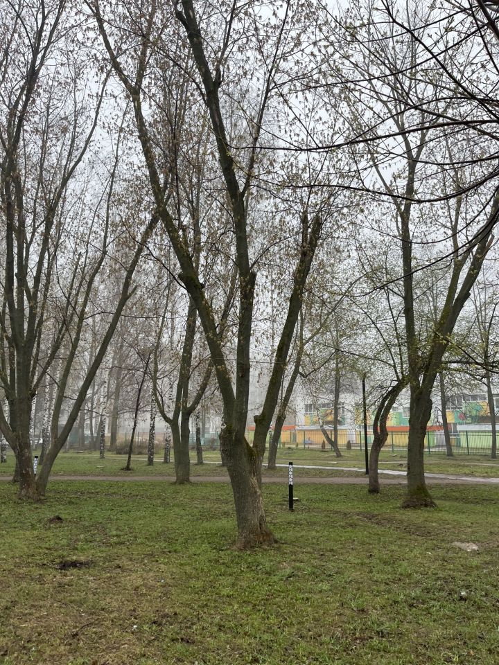 Болытлы көн