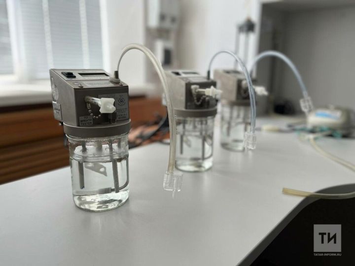 Кәнфит ашау правасыз калдырырга мөмкин