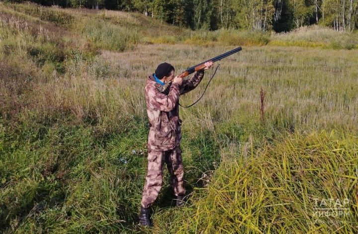 Татарстанда 1 августтан көрән аюларны аулау рөхсәт ителә