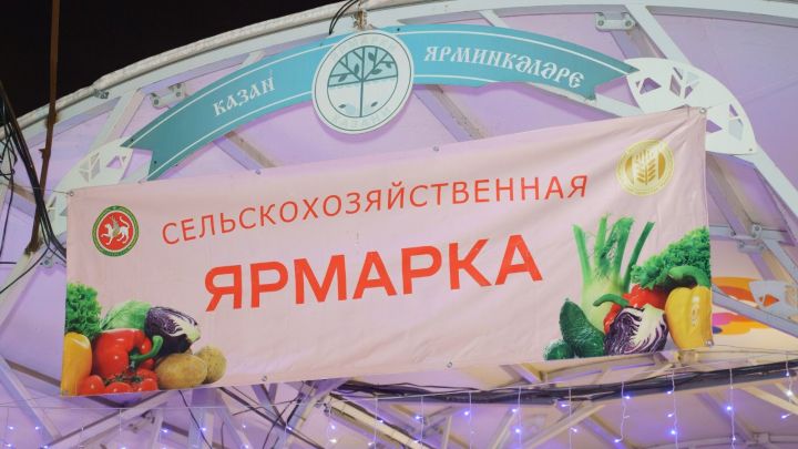 Татарстанда көзге авыл хуҗалыгы ярминкәләре башлана