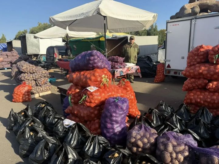Чаллыда чираттагы көзге авыл хуҗалыгы ярминкәләре узды